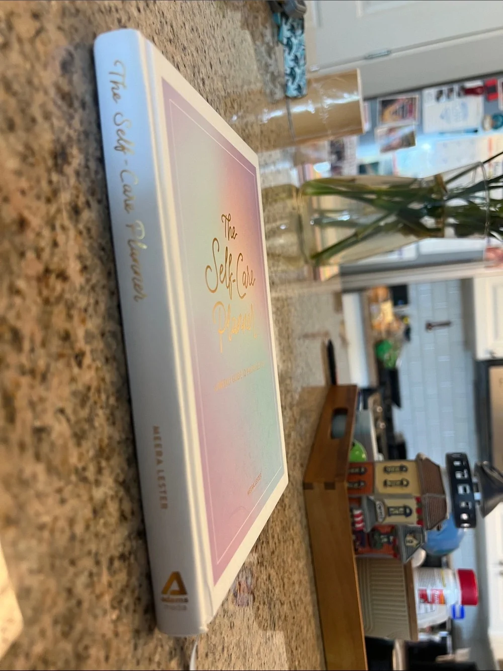 The Self-Care Planner Hardcover Journal by Meera Lester – Partially Used